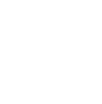 Tea tree leaf