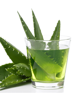 Aloe Vera drik