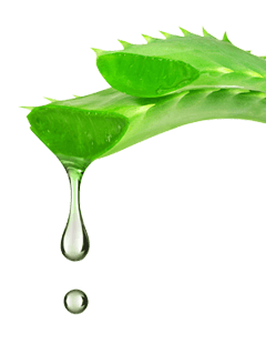 aloe vera gel