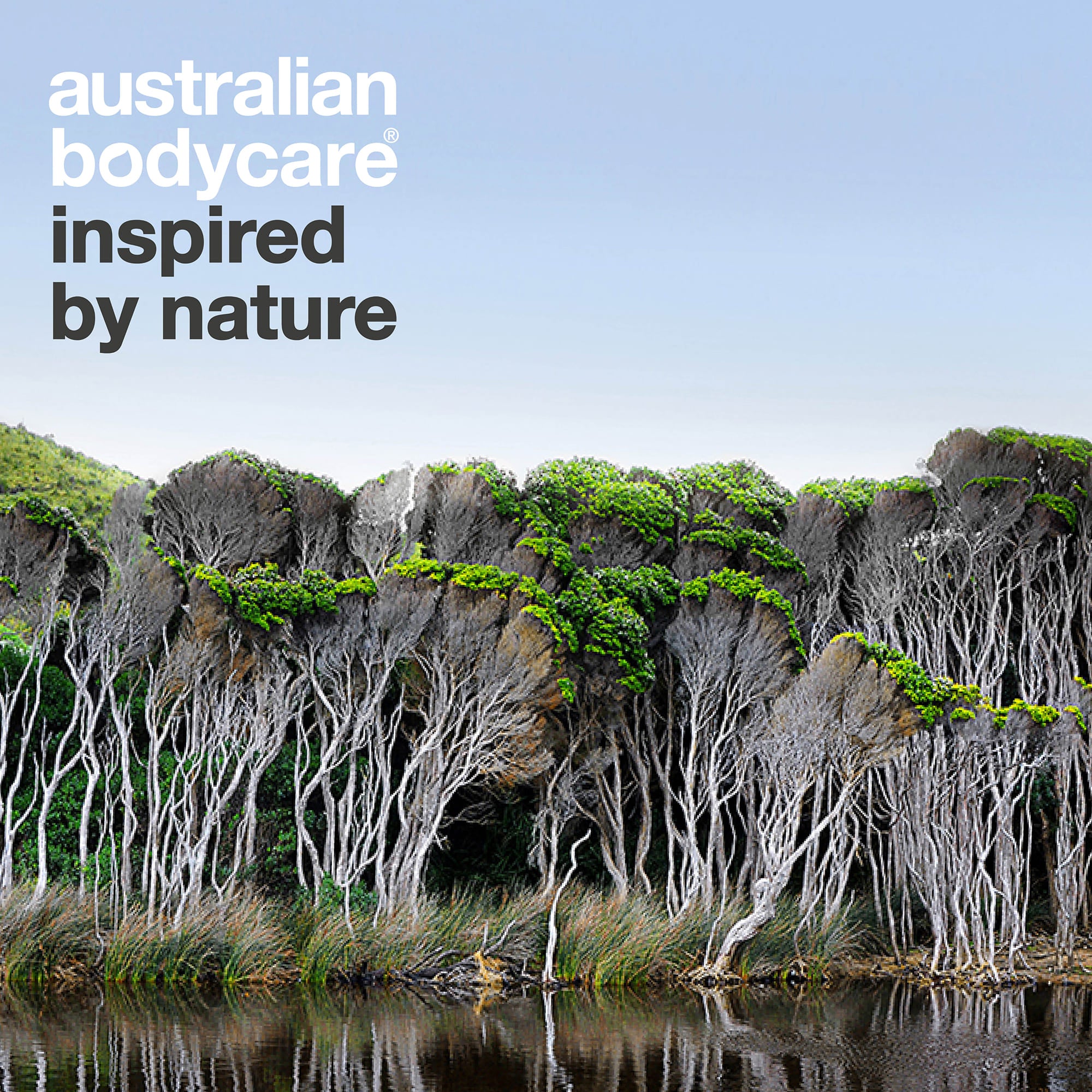 Australian Bodycare – inspired by nature: naturlandskab med tea tree i Australien