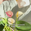 Produktvideo: Ansigtsrens fra Australian Bodycare — daglig ansigtsvask til fedtet og uren hud.