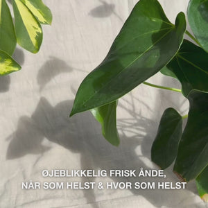 Close-up af en hånd, der ryster den kompakte mundspray let og sprayer en fin, fugtgivende tåge på tungen og tandkødet—den lette, kølende mist frisker øjeblikkeligt ånde op, fugter tør mund, beroliger irritation og efterlader en mintfrisk fornemmelse.