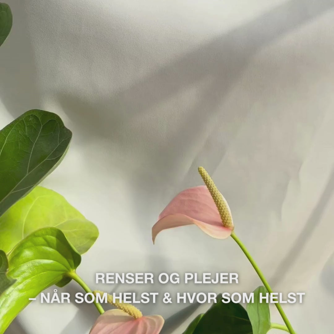 Close-up af en hånd, der folder en blød, fugtig ansigtsserviet med tea tree olie ud og tørrer den blidt hen over huden for at fjerne makeup, overskydende talg og urenheder — serviettens bløde tekstur og forfriskende, beroligende effekt for sensitiv til fedtet hud vises tydeligt.