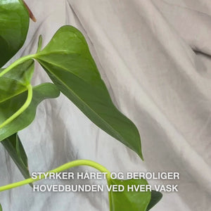 Close-up af en hånd, der pumpes en cremet, gennemsigtig Hemp Shampoo ud i hånden og derefter masserer det ind i vådt hår for at skabe en blød, fugtgivende skum, der nærer, fugter og beroliger hovedbund.
