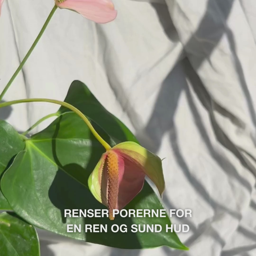 Close-up af en hånd, der bevæger den bløde silikonebørste Face Scrubber i cirkulære bevægelser over let fugtig ansigtshud: den fleksible børste eksfolierer og renser i dybden, fjerner snavs og døde hudceller, fremhæver en glat struktur og frisk glød.